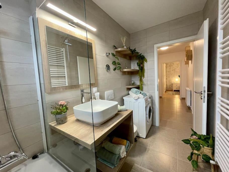 Ferienwohnung Belmonte Brașov Exterior foto